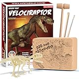 Piano Potato Kit de Fouilles Dinosaure Velociraptor pour Enfants - Démontez et remontez Le Squelette de vélociraptor, Un Jouet Scientifique STEM pour Les garçons et Les Filles de 6 à 12 Ans
