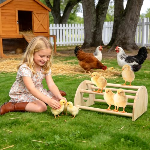 Image of Pine Chicks Perch with Mirror, Strong Chick Jungle Gym Roosting Bar, Chicken Perch Toys for Coop and Brooder, Training Perch Toys for Large Bird, Parrot, Macaw, Hens (Large)
