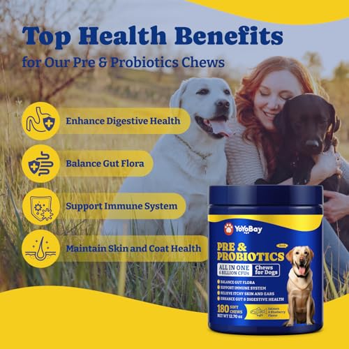 Image of Probiotics for Dogs - Dog Probiotics for Gut, Immune & Skin Health - 6 Billion CFUs, 180 Soft Chews, Salmon & Blueberry Flavor - with Prebiotics & Digestive Enzymes