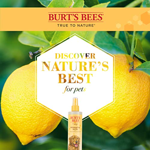 Burt's Bees For Dogs Natural Detangling Spray With Lemon And Linseed | Dog And Puppy Fur Detangler Spray To Comb Through Knots, Mats, And Tangles- Made In The Usa, 10 Ounces #TOP4