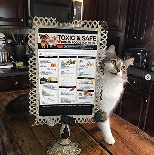 TLC Safety By Design Premium 8.5” x 11” Magnet Toxic Harmful and Safe Foods for Pets Fridge Safety Dogs Cats Poison Emergency Large Format Veterinarian Approved (Qty. 1 from TLC)