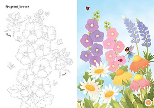 Transfer Activity Book Fairies (Transfer Books) - Image 2