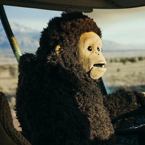 &ldquo;Sunlight&rdquo; - Interview with Film Director Nina Conti and Co-writer Shenoah Allen