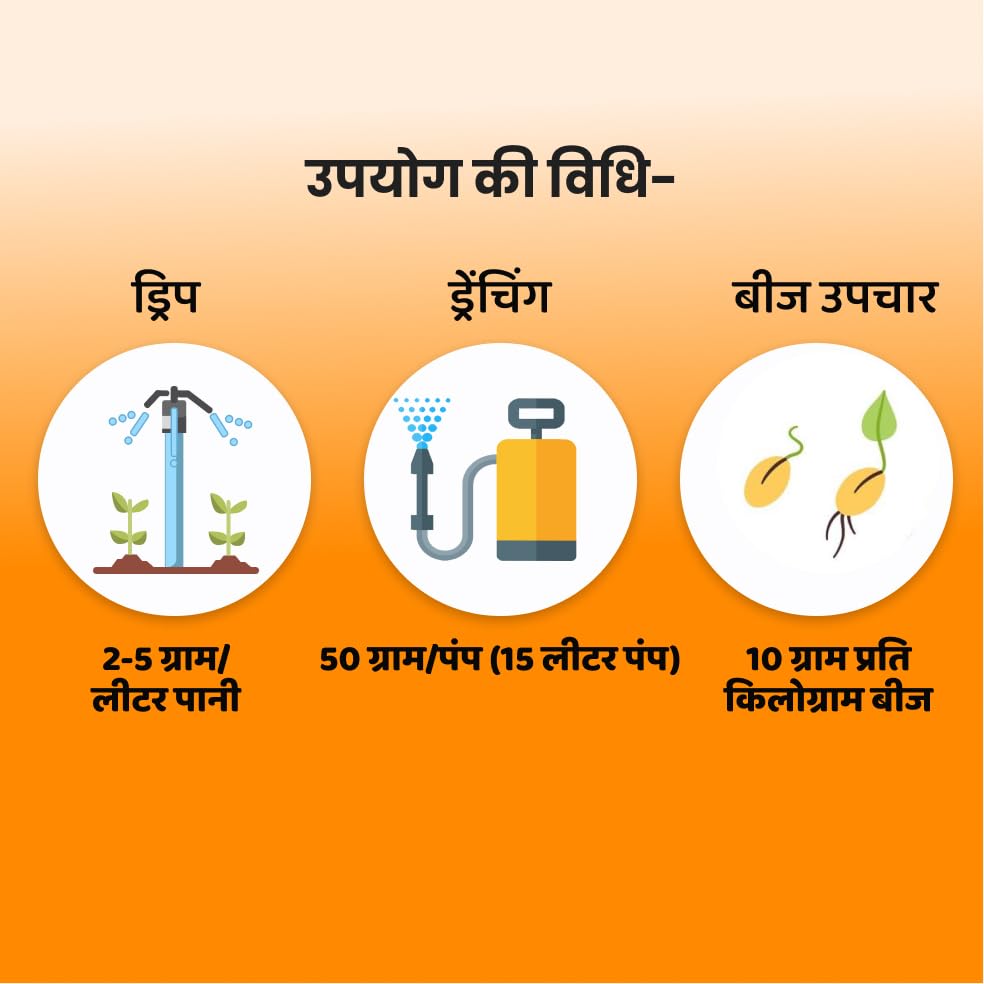 Image of IFC NPK Bacteria - NPK Solubilizing Bacteria Fertilizer 500gms | Increase Soil Nutrients |100% Organic, Perfect to use on All Plants and Gardening