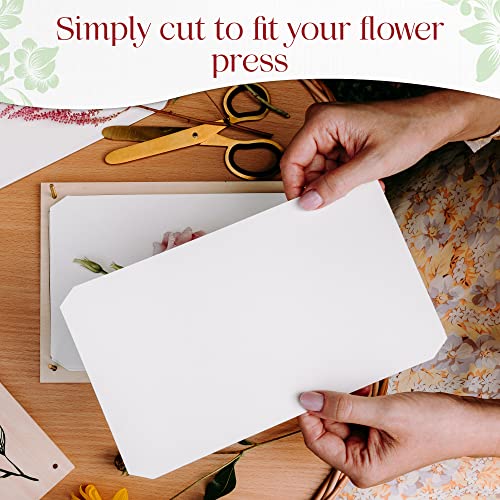 Blotting Paper for Flower Press by Berstuk® • Large A4 Flower Press Paper • Highly Absorbent and Reusable Herbarium Paper • Pack of 10 Blotter Paper Sheets - Image 7