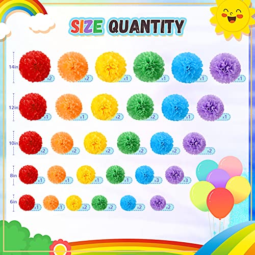 Estune 48 Pcs Tissue Paper Pom Poms 14''/ 12''/ 10''/ 8''/ 6'' Tissue Paper Flowers Decorations For Wedding Birthday Bridal Shower Baby Shower Decor (Rainbow) #TOP1