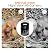 Bird House with Camera Solar Powered,Wood Bird House for Outdoors, 5MP HD Full Color Night Vision Bird Watching Camera For Birdhouse, Wi-Fi Nesting Box For Birds,App Controlled,Automatic Notification