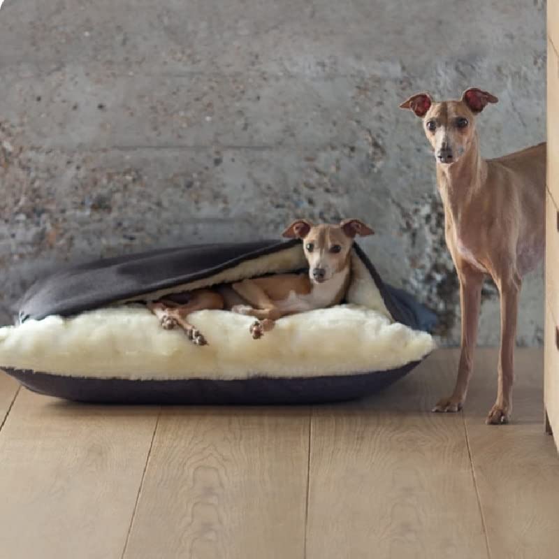 Grande Cuccia Invernale Caldo Nido di Gatto Sacco a Pelo Rimovibile e Lavabile Cuscino per Animali Domestici Cuscino per Cani Grande casa Divano Morbido