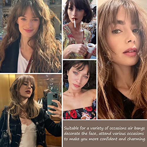 Firstpella 2Pcs Hair Clip In Bangs, Curved Bangs Hair Clip Wispy Bangs With Temples Hairpieces,Bangs Clip In Hair Extensions Air Fringe Clips On Bangs For Women Girls Daily Wear - Brown Black… #TOP6