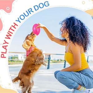 4 Pcs 4.5” Spiky Squeaker Football Dog Toy for Medium Large Dogs Spiky Dog Balls Puppy Chew Toys for Aggressive Chewers Spiky Ball Dog Toy Fetch Toys for Training (Vivid,Colorful)