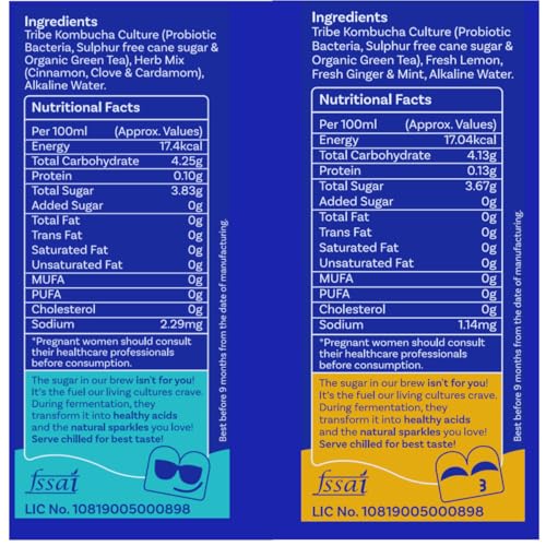Image of Tribe Kombucha Probiotic Super Drink | Supports Gut Health | Gluten-Free | Naturally Fermented | Super Refreshing | Gut Friendly | Improves Blood Sugar | Antioxidant and Hydration | No Added Sugar |250 ML X 2 (OG CLASSIC + ZESTY GINGERADE)