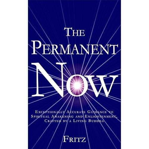The Permanent Now Audiolibro Por Fritz arte de portada