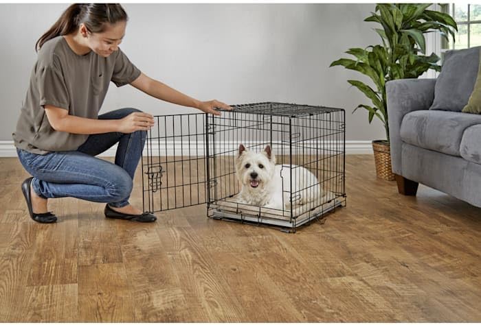 EveryYay by Petco 1-Door Dog Crate Small 24.8" L X 17.4" W X 19.5" H Black: No Handles