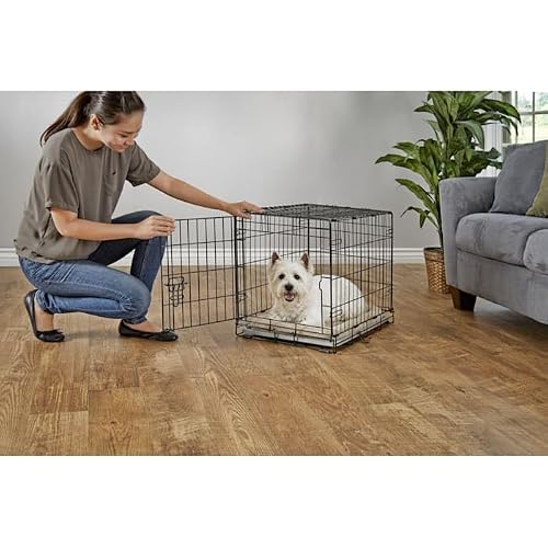 EveryYay Going Places 1-Door Folding Dog Crate 24.8\" L X 17.4\" W X 19.5\" H
