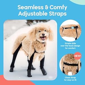 Walkeepawsnewdeluxeeasyondogsuspenderbootleggingspluscheststrapwaterproofbootiesforsmalldogsandmediumsizeddogsprotectpawsfromrainsnowandsnowmeltxsshortblack Urban Country Home Decor Walkee paws new deluxe easy on dog suspender boot leggings plus chest strap waterproof booties for small dogs and medium sized dogs protect paws from rain snow and snow melt xs short black urban country home decor