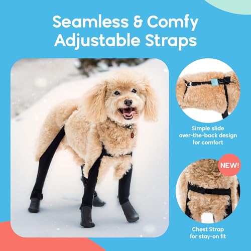 Walkeepawsnewdeluxeeasyondogsuspenderbootleggingspluscheststrapwaterproofbootiesforsmalldogsandmediumsizeddogsprotectpawsfromrainsnowandsnowmeltxsshortblack Urban Country Home Decor Walkee paws new deluxe easy on dog suspender boot leggings plus chest strap waterproof booties for small dogs and medium sized dogs protect paws from rain snow and snow melt xs short black urban country home decor