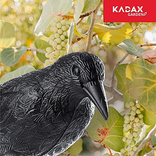 KADAX Plastikowy kruk odstraszający gołębie, ochrona przed gołębiami, odstraszacz ptaków, atrapa kruka, czarny kruk na balkon, parapet