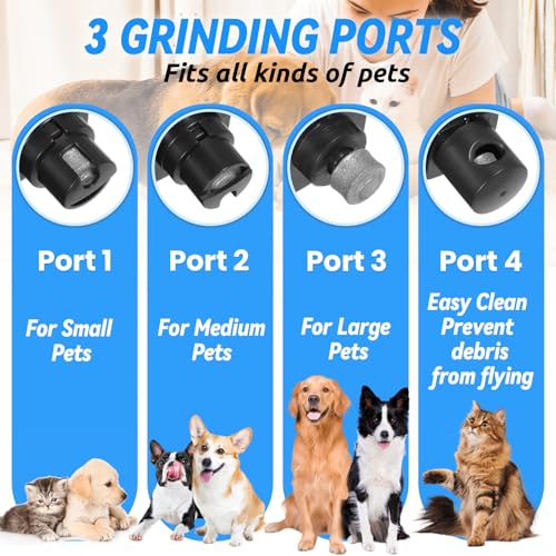 BUOAZR Krallenschleifer für Hunde 4-Gang mit LED-Licht,Elektrischer Hundekrallenschneider, Superleise, USB Wiederaufladbar Hundekrallenfeile für Große, Mittelgroße und Kleine Hunde und Katzen(Schwarz)