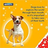 PEDIGREE Christmas Stocking Gift Adult Dog Treats Mixed 367g (1 X Stocking) - Image 9