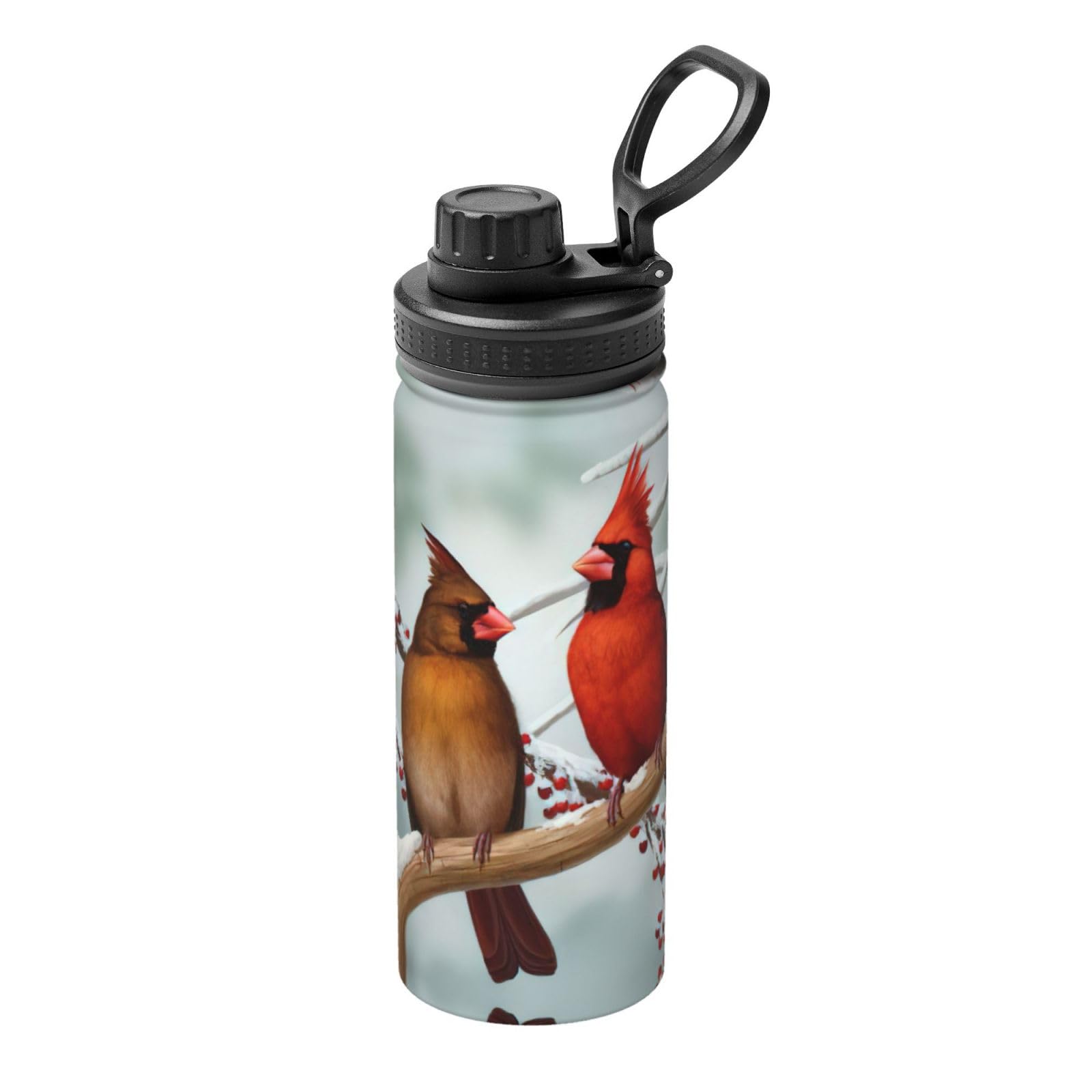 Kfjghhl Insulated Stainless Cute Birds Steel Water Bottle For Sport Gym Travel Leak Camping Hiking Hydration