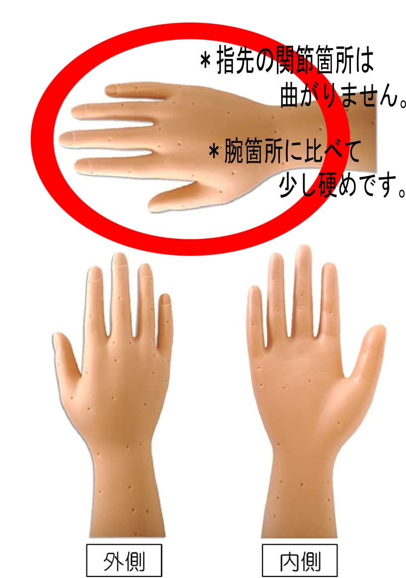 Amazon.co.jp: アームマッサージ練習用マネキン (左) 手 ツボシール