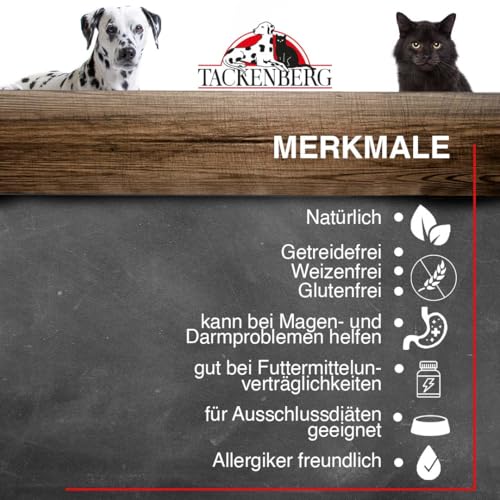 TACKENBERG Pferd Pur Nassfutter Dose für Hunde - Hundefutter in Premiumqualität - natürlich getreidefrei, 6 x 200 g