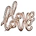 Odstore Love Balloon Banner - Champagne Celebration Balloon - 31.1 Inches Long (2pcs, Champagne)