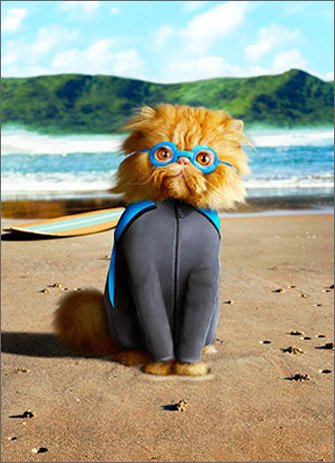 Cat In Wetsuit Funny Birthday Card by Avanti Press