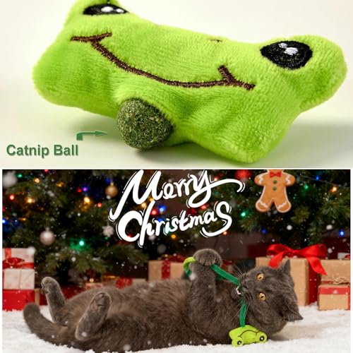 Lot de 10 Jouet Chat, Bâtonnets Herbe à Chat, Bâtonnets à Mâcher Matatabi Baton Chat Jouets pour Chats Intérieur – Image 3