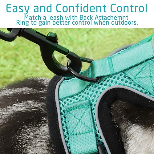 Rabbitgoo Pettorina per Gatti, Imbracatura per