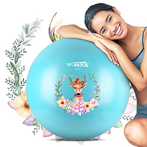 ISUDA - Pelota de Gimnasia antirotura, 65 cm para Embarazadas, Pilates y balones de Equilibrio para Yoga, Fitness, Fitness o Fisioterapia, con Bomba de Aire, Libro electrónico