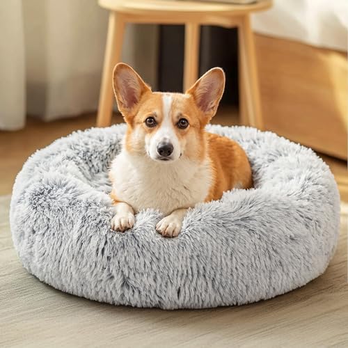 JOLLYVOGUE Calming Donut Dog Bed (27–36", Light Grey)