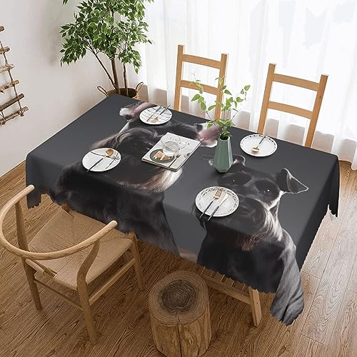 Nappe rectangulaire douce et décorative schnauzer pour protéger votre table