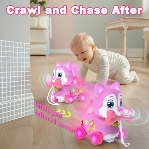 Musical Puppy Toy 6-12 Months,Baby Bilingual Toddler Learning for 1+ Year Old Girl Gift,Baby Crawling Toys,Infant Tummy Time Toy, 1st Birthday Gift Christmas for Newborn Girl Boy Age 1-2