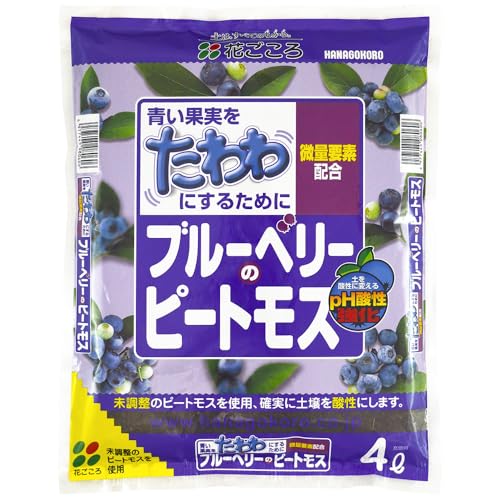 �Ԃ����� �u���[�x���[�̃s�[�g���X 4L