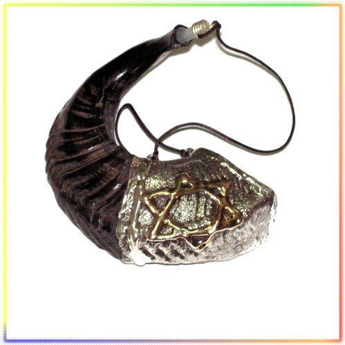 Neuf œil Huile 33 cm Onction Argent Rams Chophar à partir de la Terre Sainte