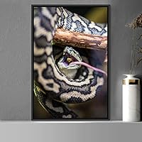 Framed Canvas Wall Art Snake Contemporary Dramatic Hallway Multicolor Photography Reptiles Snakes - 16x24 inches