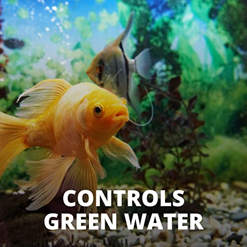 Image of Tetra Algae Control Liquid, 3.38 ounces, Controls Algae in Aquariums