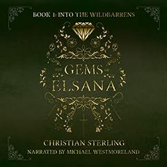 Into the Wildbarrens Audiolibro Por Christian Sterling arte de portada