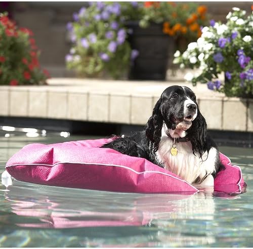 GoodLife Designs DPPDL-SW Poochie Pool & Deck Lounger, Small, White