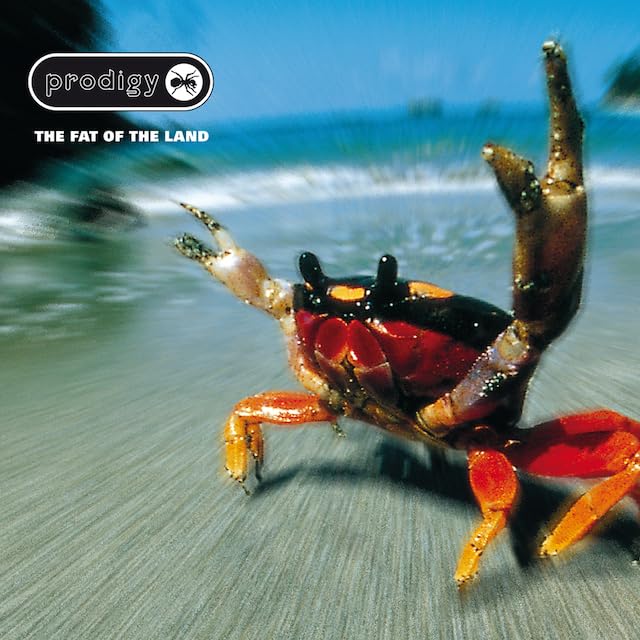 FAT SLIDE UN EARTH CD 日本語ラップ Amazon.co.jp: THE FAT OF THE LAND[輸入盤CD](XLCD121)_2130