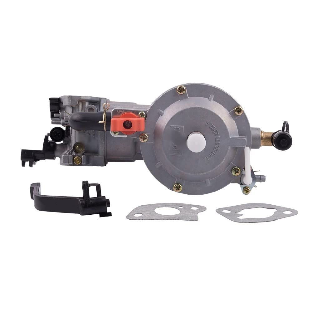 Montaje Carburador Carburador De Combustible Dual Para LPG Para Kit De Conversión NG Para 2KW 3KW 168F 170F GX200 Carburador Generador De Gasolina Para LPG 168