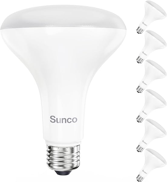 Sunco BR30 LED Bulbs Indoor Flood Lights