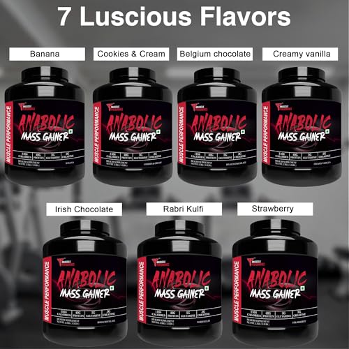 Image of Anabolic Mass Gainer, 2.5kg, Belgium Chocolate With Steel shaker