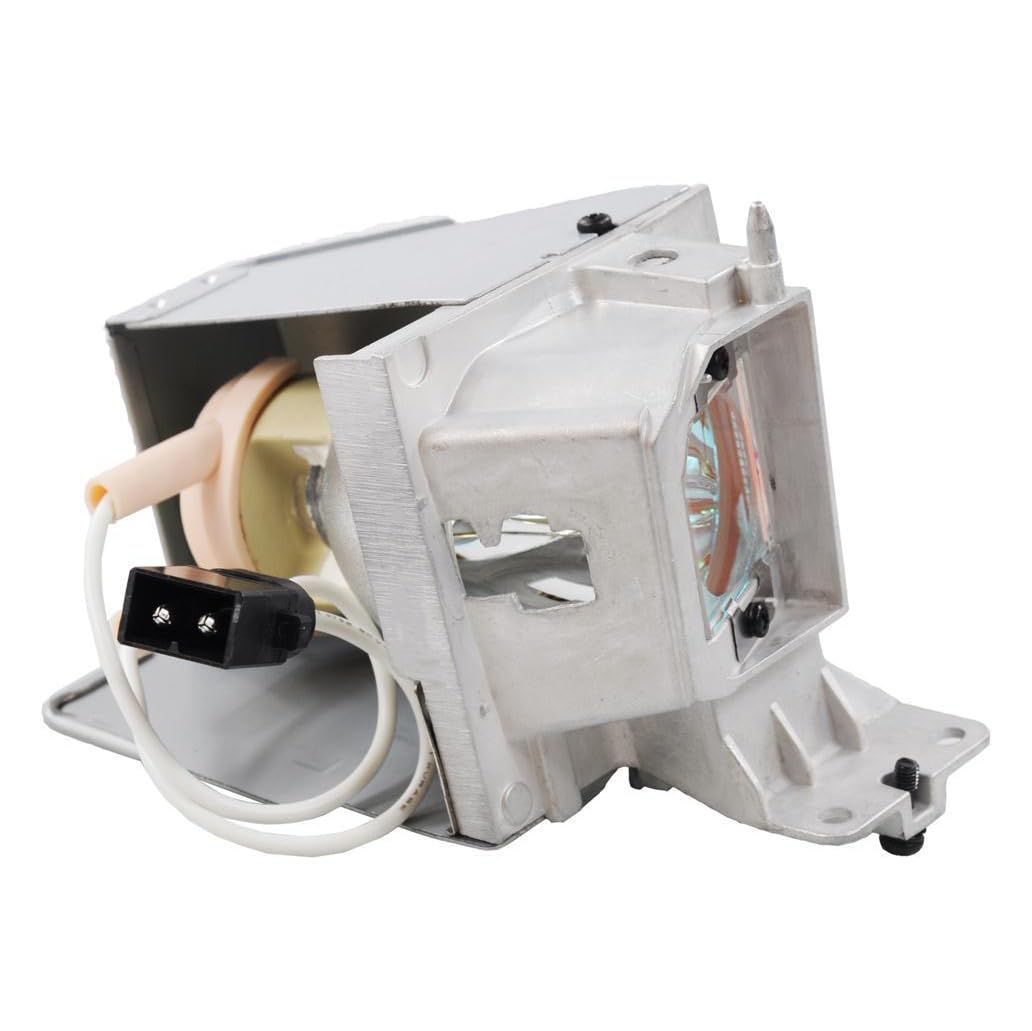 NP36LP 100014091 Ampoule de rechange pour projecteur avec boîtier compatible avec NEC V302X/V302W Lampe