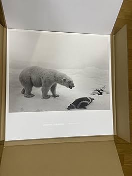 杉本博司 HIROSHI SUGIMOTO ポスター 杉本博司 HIROSHI SUGIMOTO ポスター POLAR BEAR シロクマ 森