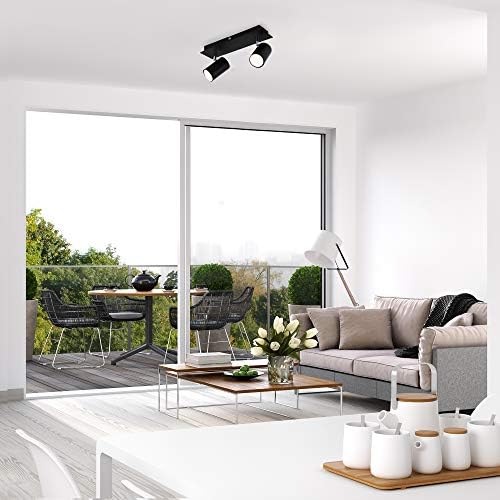 Briloner Leuchten Ceiling Light, swiveling, Ceiling lamp, Double Ceiling Light, GU10, max. 40 watts, Black