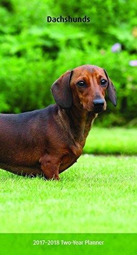 Dachshunds 2017-2018 Two-year Pocket Planner