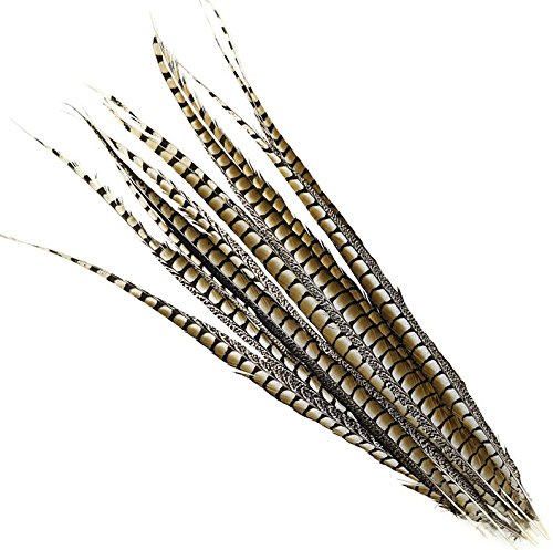 5 Pcs Lady Amherst Pheasant Tails 30 -40  Natural Side Feathers