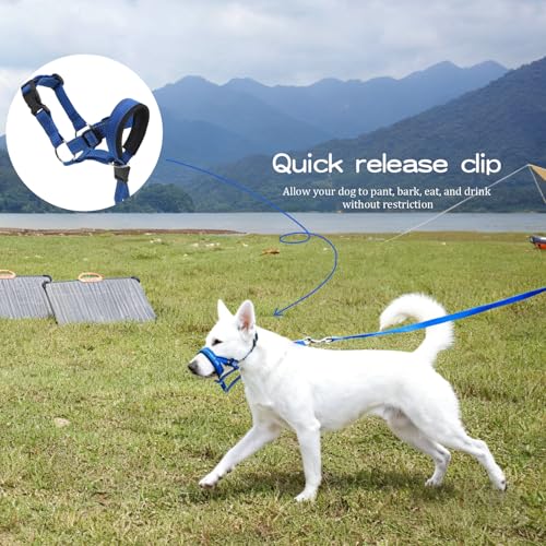 MUYAPAY Collar Adiestramiento Perros Arnés Perro Antitirones Ajustable y Ligero Collar de Adiestramiento Adiestramiento Canino Antitirones Cómodo Seguro para Paseos y Entrenamiento (Azul) - imagen 5